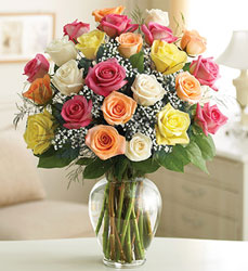 Hello Mixed Rose  Flower Power, Florist Davenport FL